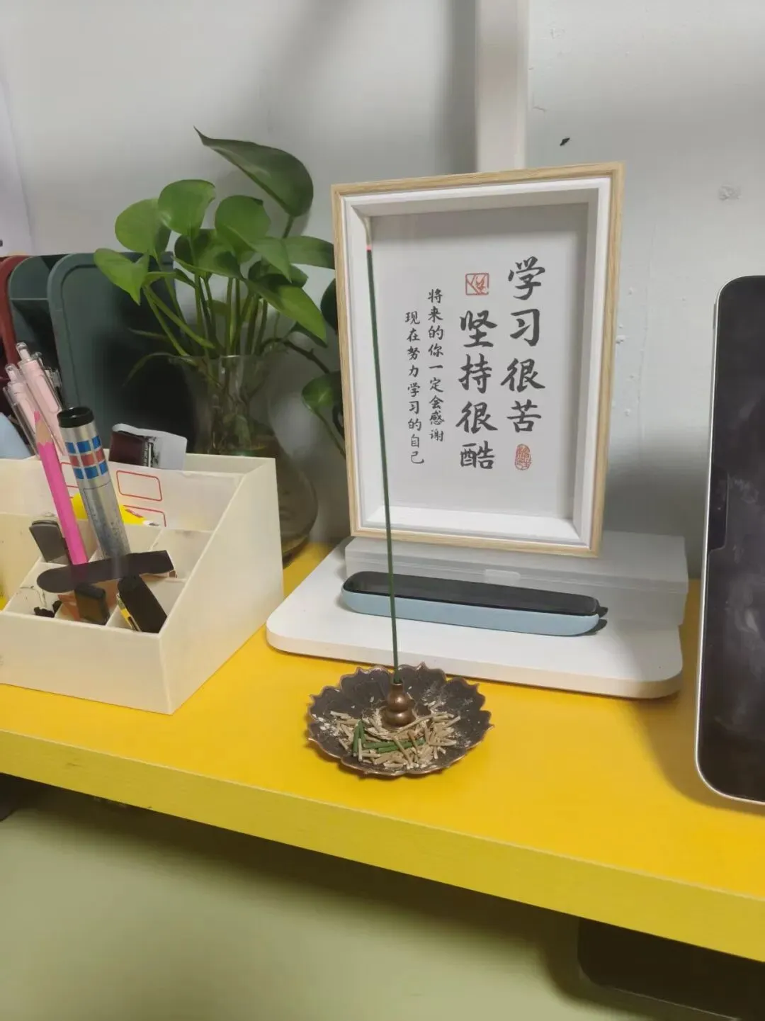 中考第一关——体育考试圆满收官 第1张