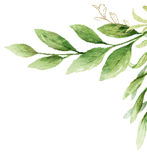 聚焦中考复习策略 共话高效课堂构建 | 金桥教育集团初三复习研讨活动在江阴青阳金桥实验学校成功举办 第4张 聚焦中考复习策略 共话高效课堂构建 | 金桥教育集团初三复习研讨活动在江阴青阳金桥实验学校成功举办 第4张