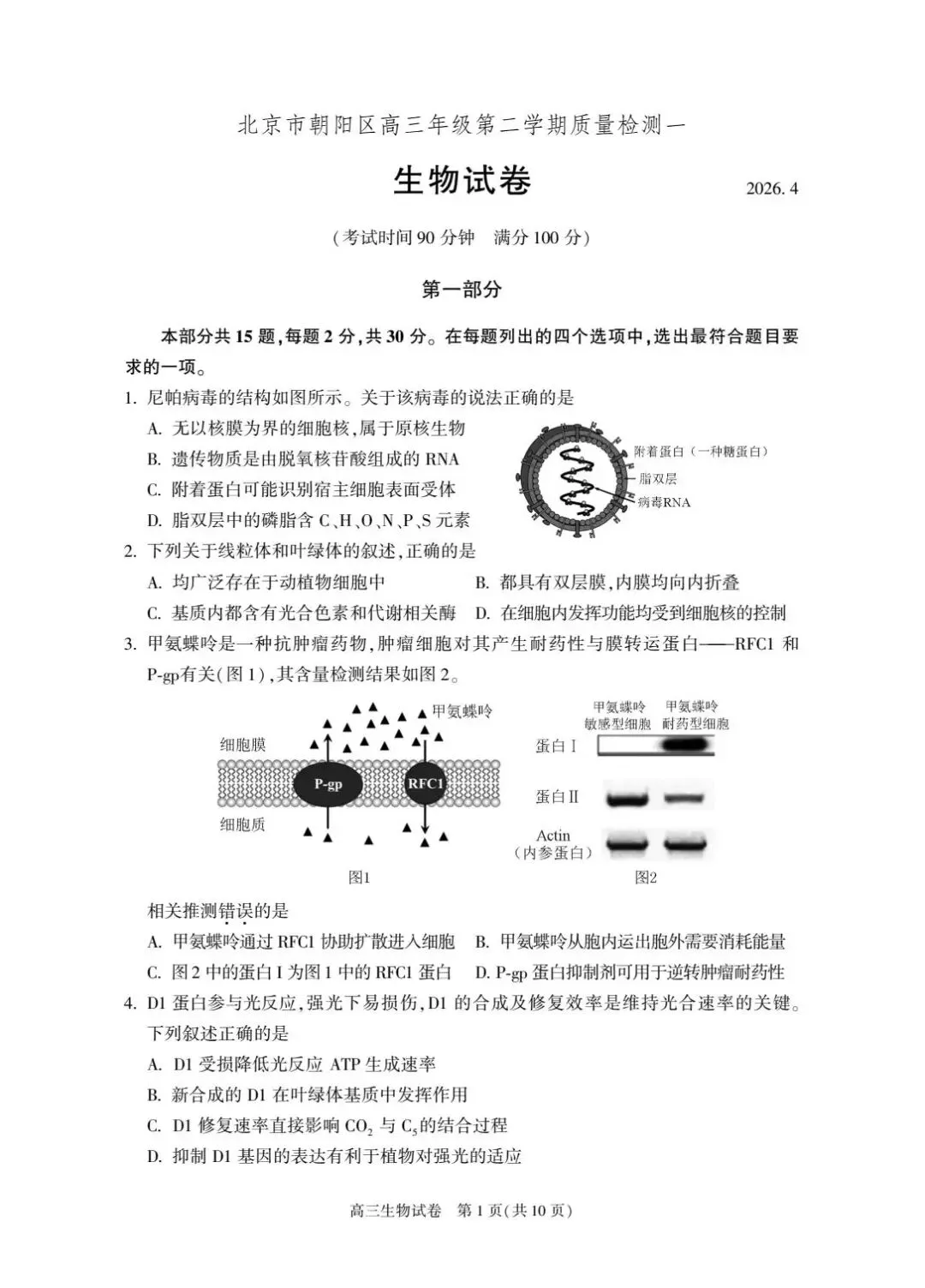 2026届北京朝阳高三一模生物试卷及答案 第1张