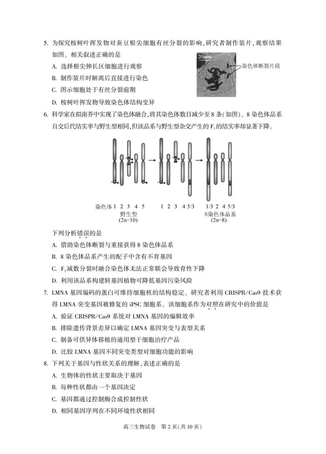 2026届北京朝阳高三一模生物试卷及答案 第2张