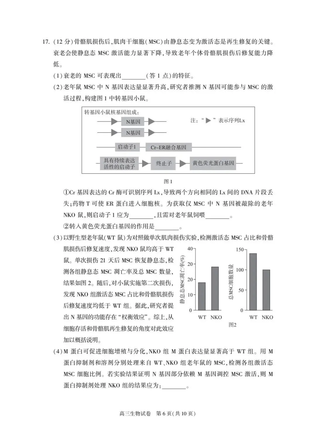 2026届北京朝阳高三一模生物试卷及答案 第6张