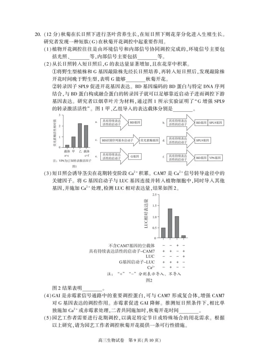 2026届北京朝阳高三一模生物试卷及答案 第9张