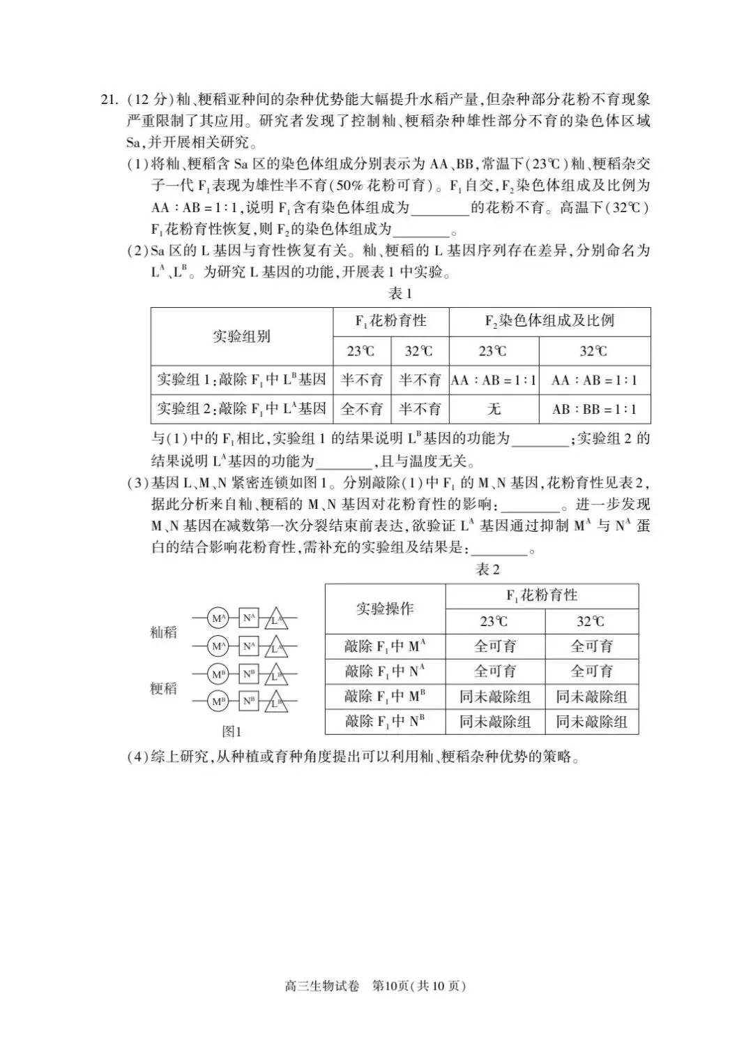 2026届北京朝阳高三一模生物试卷及答案 第10张