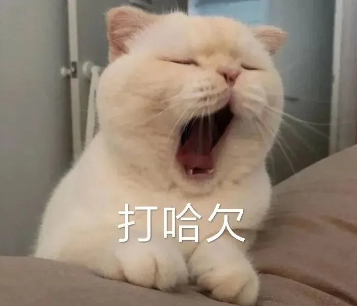 冲刺2026陕西中考,这份攻略别错过~ 第8张 冲刺2026陕西中考,这份攻略别错过~ 第8张