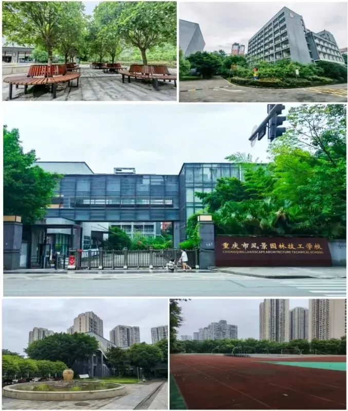 中考500分以下的同学学什么? 第4张