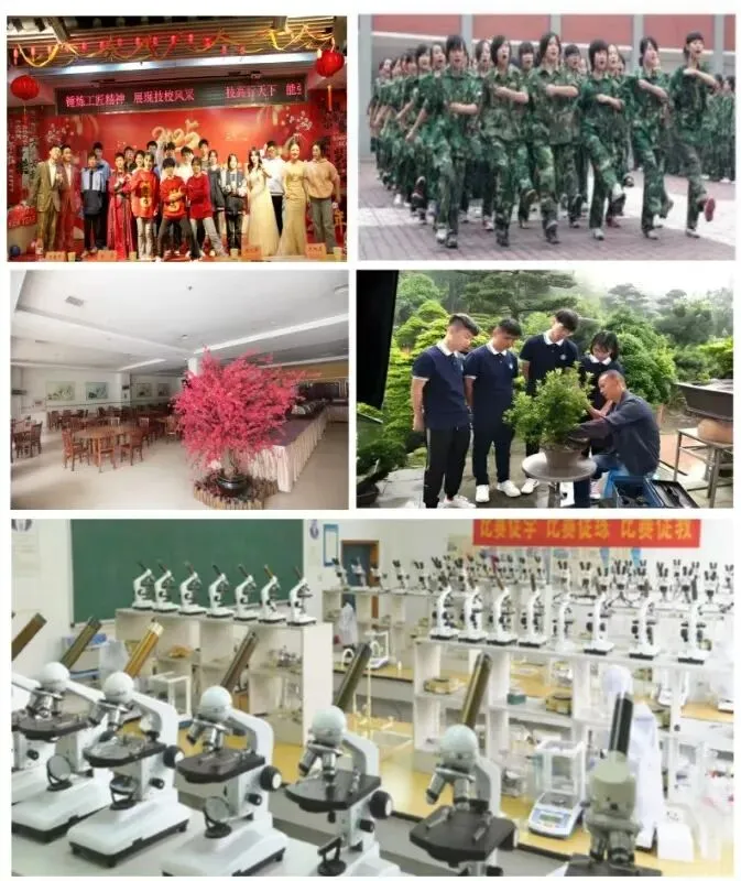 中考500分以下的同学学什么? 第5张