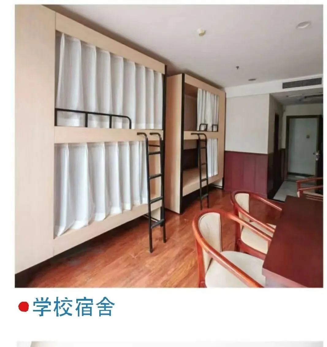 中考500分以下的同学学什么? 第8张