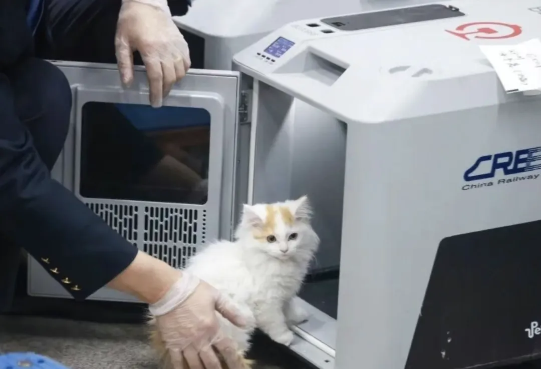 热点解读|四月时政速递・中考道法考点梳理(奋进高质量发展 彰显大国担当 共促和平统一) 第29张