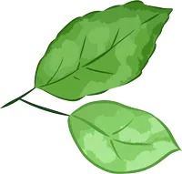 备战中考,5个方法让备考效率翻倍! 第11张 备战中考,5个方法让备考效率翻倍! 第11张