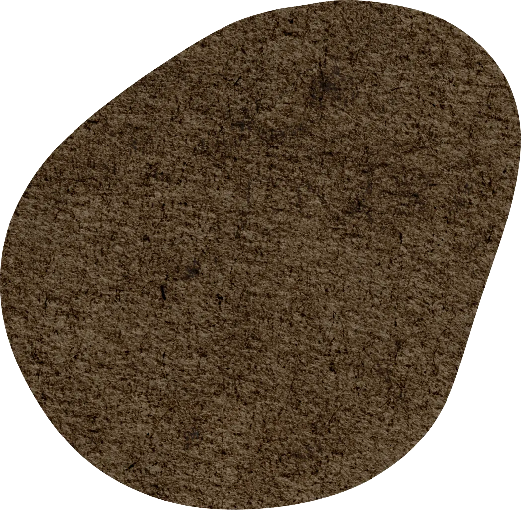 以赛研题育素养,深研课标备中考 第9张