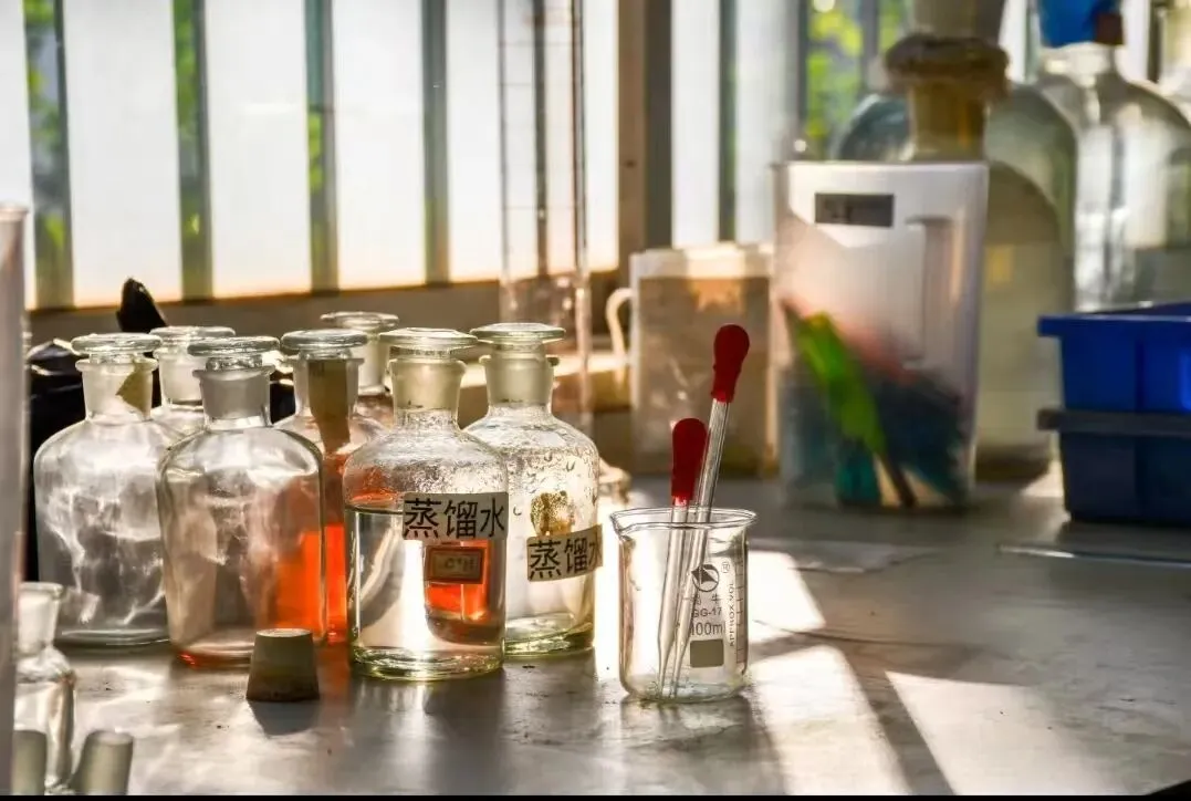 以赛研题育素养,深研课标备中考 第28张