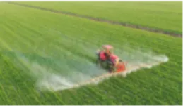 2024年广州白云区中考一模道德与法治试题(含答案) 第13张