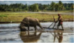 2024年广州白云区中考一模道德与法治试题(含答案) 第16张