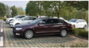 2024年广州白云区中考一模道德与法治试题(含答案) 第31张