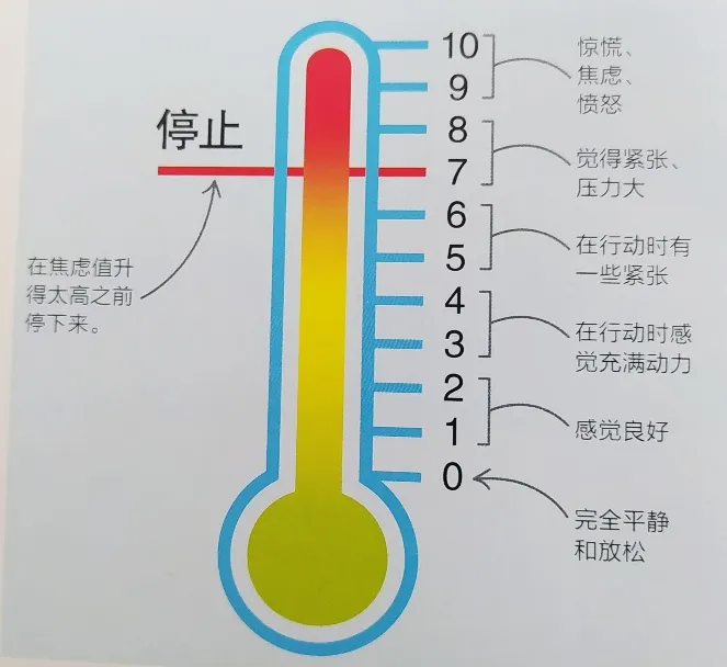 中考助力站 | 做好充足准备,助力中考体育 第15张