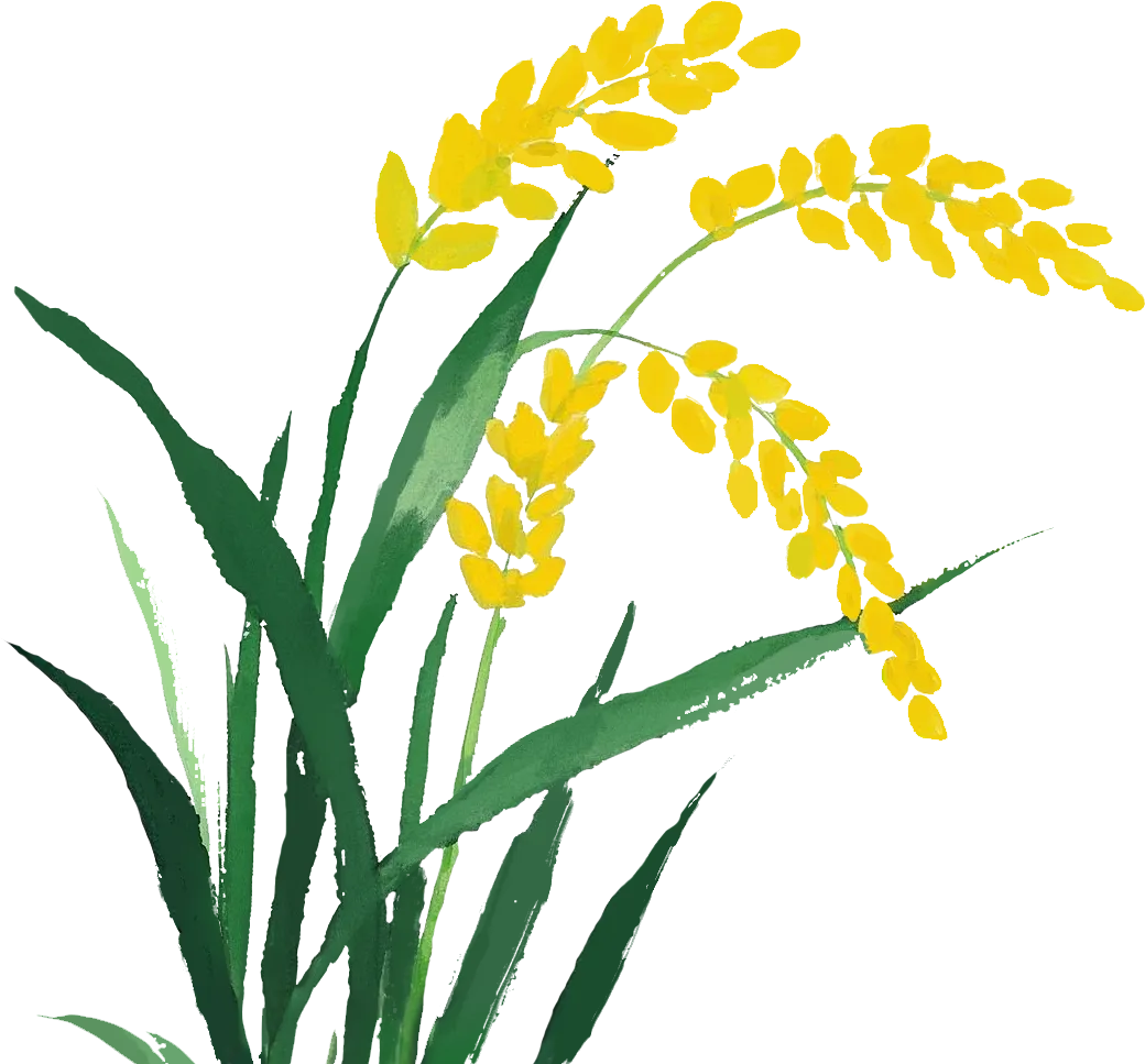 学生佳作| 中考倒计时下,她用画画造了一处柔软天地,是不必追赶、无须比较的天地.献给每一个在忙碌中仍坚持热爱的人 第1张 学生佳作| 中考倒计时下,她用画画造了一处柔软天地,是不必追赶、无须比较的天地.献给每一个在忙碌中仍坚持热爱的人 第1张