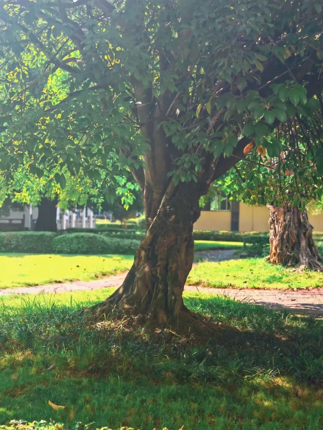学生佳作| 中考倒计时下,她用画画造了一处柔软天地,是不必追赶、无须比较的天地.献给每一个在忙碌中仍坚持热爱的人 第2张 学生佳作| 中考倒计时下,她用画画造了一处柔软天地,是不必追赶、无须比较的天地.献给每一个在忙碌中仍坚持热爱的人 第2张