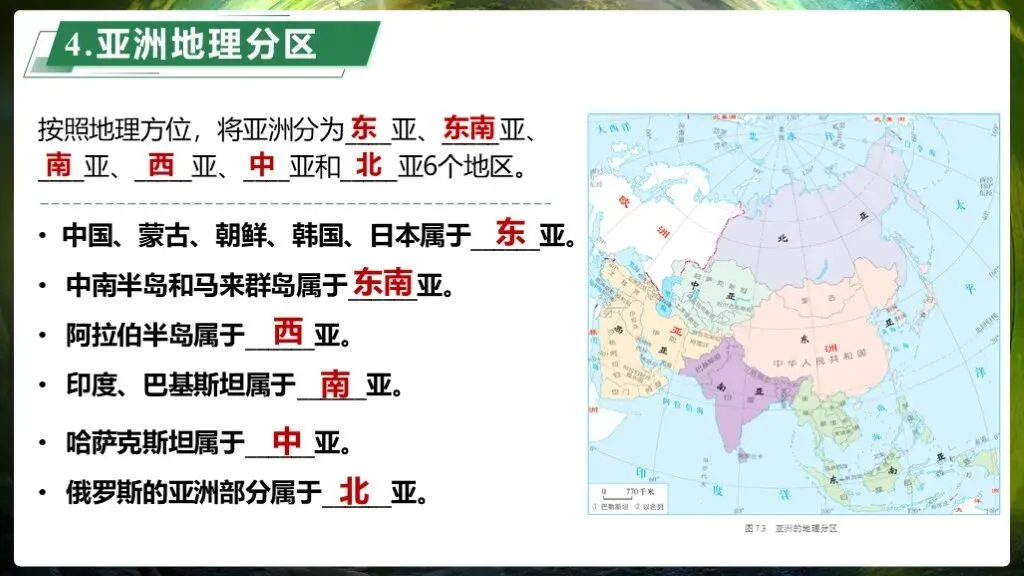 【2026中考复习】专题8《认识大洲》含知识清单+配套练习~ 第11张 【2026中考复习】专题8《认识大洲》含知识清单+配套练习~ 第11张