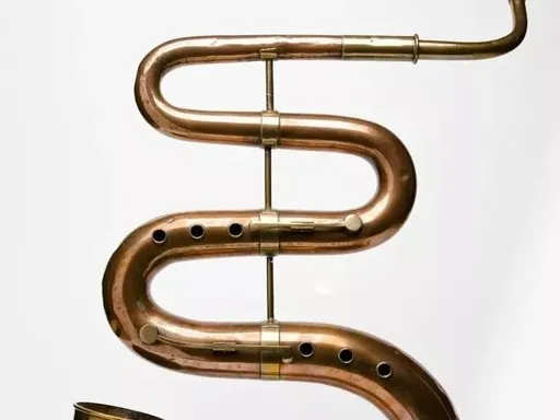 新托福真题尝鲜 第5张