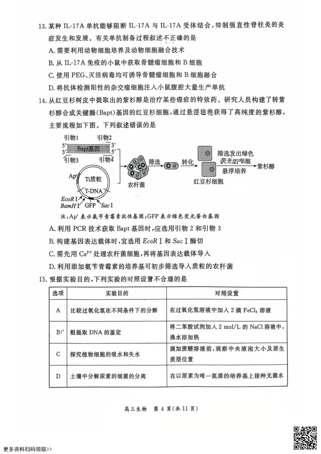 2026北京东城高三一模生物试卷(含答案) 第4张