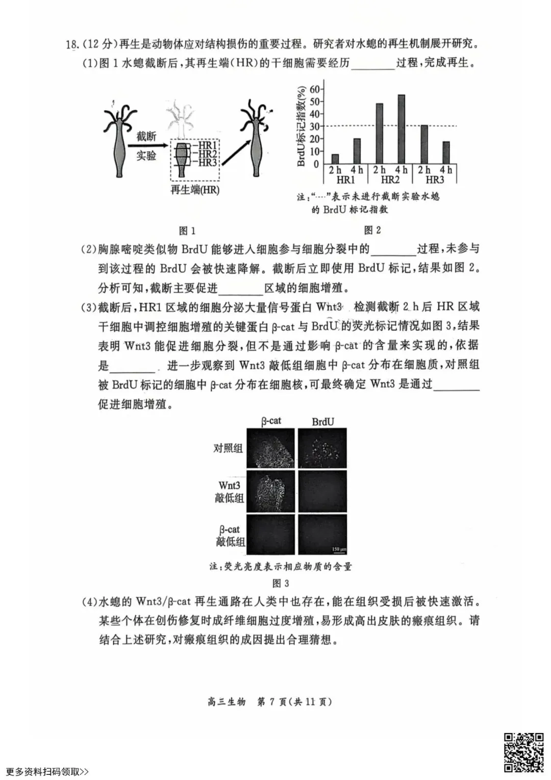 2026北京东城高三一模生物试卷(含答案) 第7张
