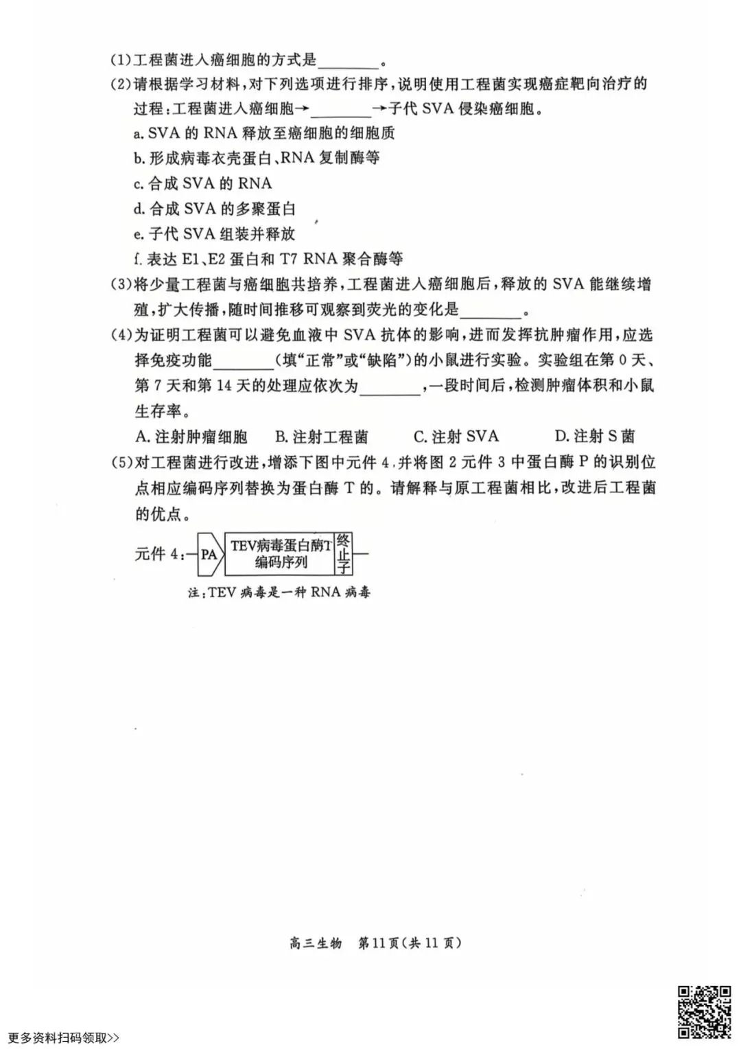 2026北京东城高三一模生物试卷(含答案) 第11张