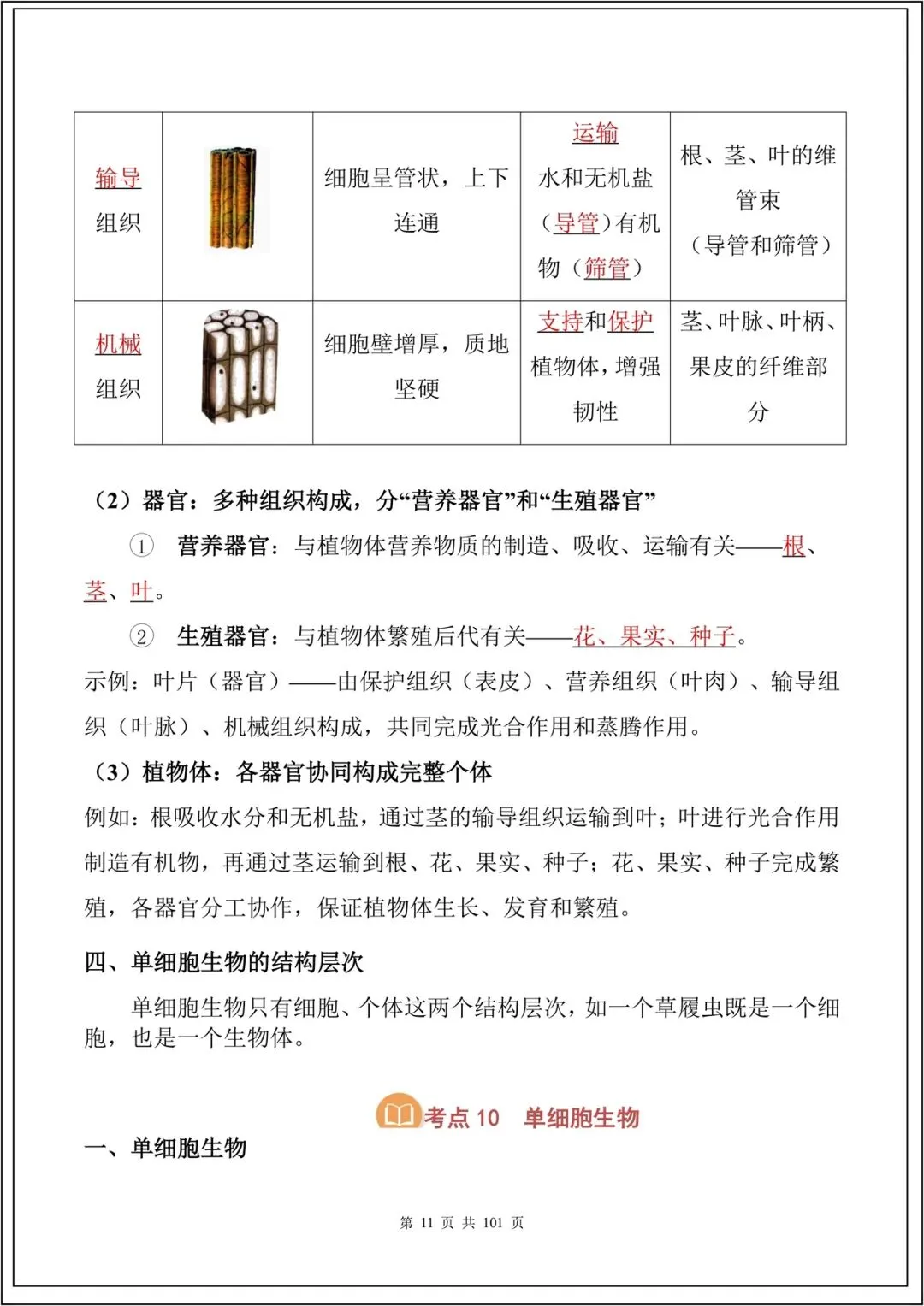 中考复习丨2026中考生物必背考点汇总(108大考点)(全国通用) 电子版可下载打印 第12张 中考复习丨2026中考生物必背考点汇总(108大考点)(全国通用) 电子版可下载打印 第12张