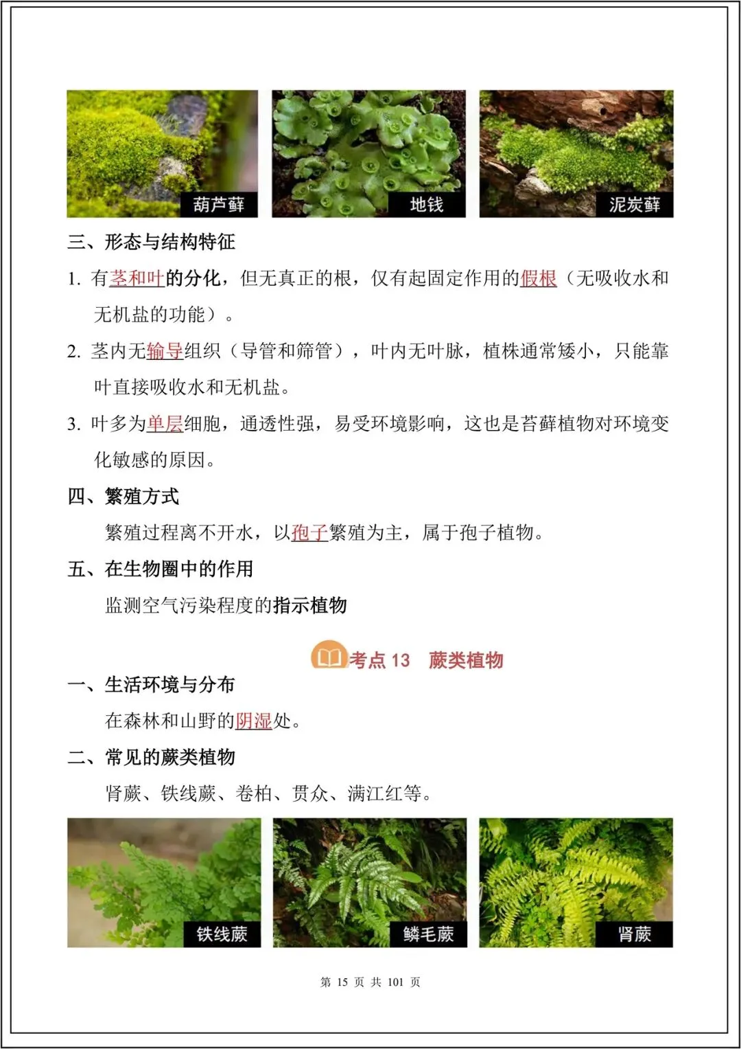 中考复习丨2026中考生物必背考点汇总(108大考点)(全国通用) 电子版可下载打印 第16张 中考复习丨2026中考生物必背考点汇总(108大考点)(全国通用) 电子版可下载打印 第16张