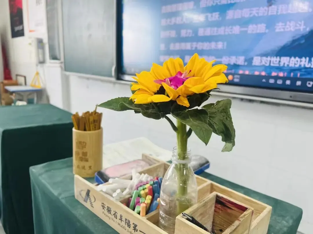 距中考65天丨今天,我摘了一朵花 第2张