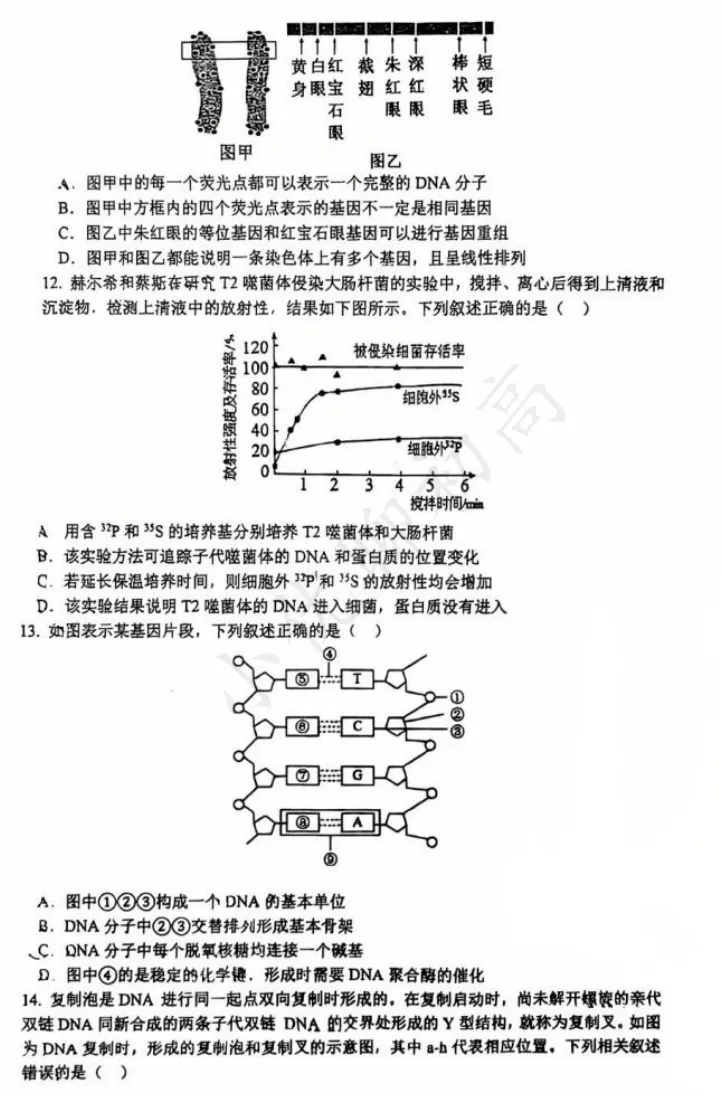 难哭了!星海期中率先开考!4月最新期中真题+答案免费下载 第5张