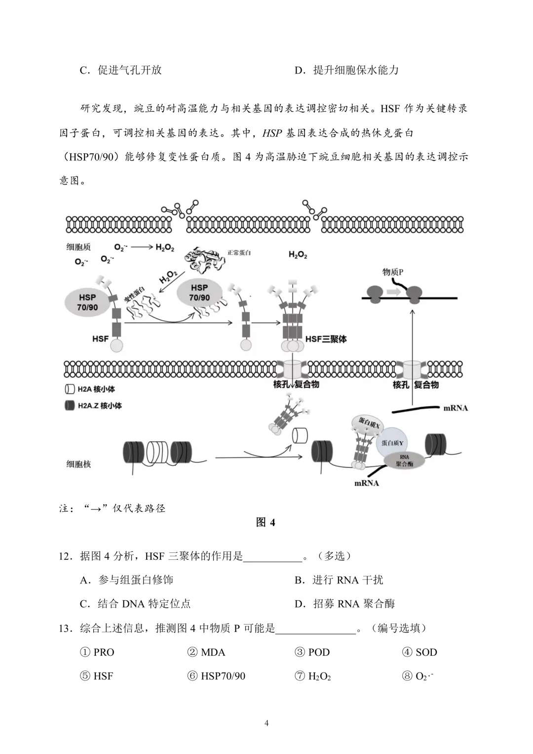 上海市2026届浦东新区高三二模生物试卷及答案 第4张