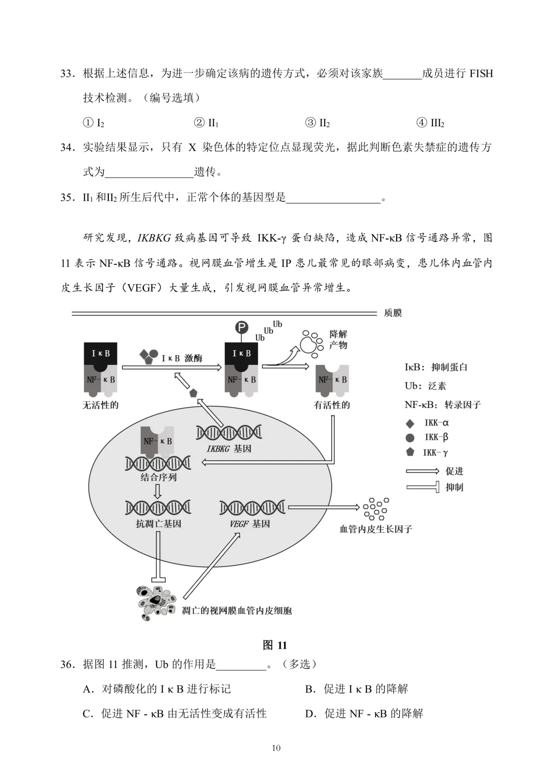 上海市2026届浦东新区高三二模生物试卷及答案 第10张