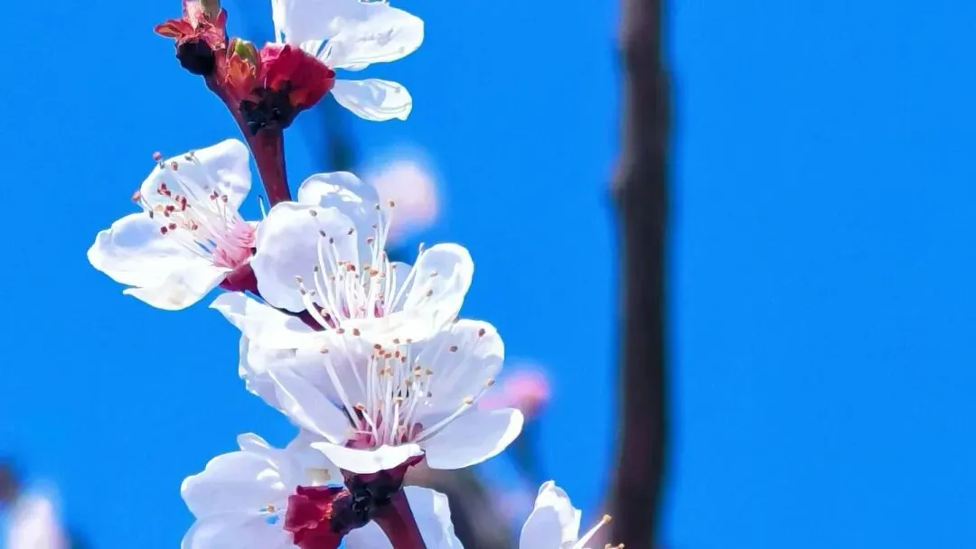 小学阶段,抓住这2件事比刷100套试卷更重要 第1张