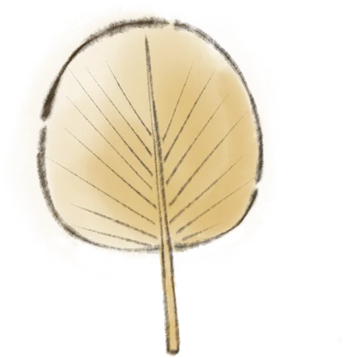 【每日一题】2026版真题解密NO.05 第3张