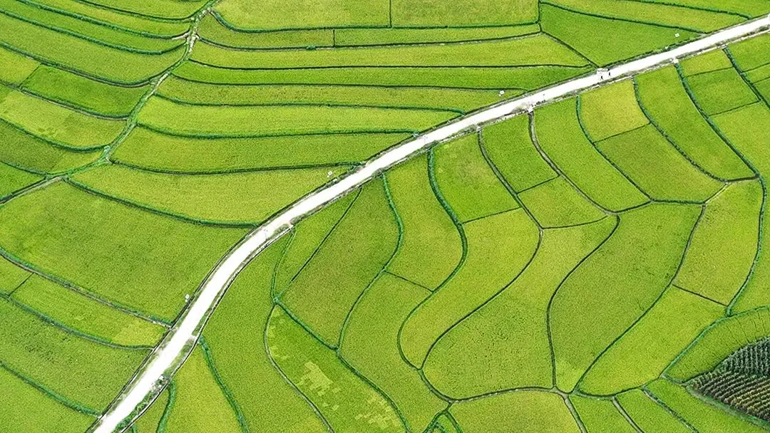 2026重庆中考各科变化汇总,看看有什么新变化? 第4张