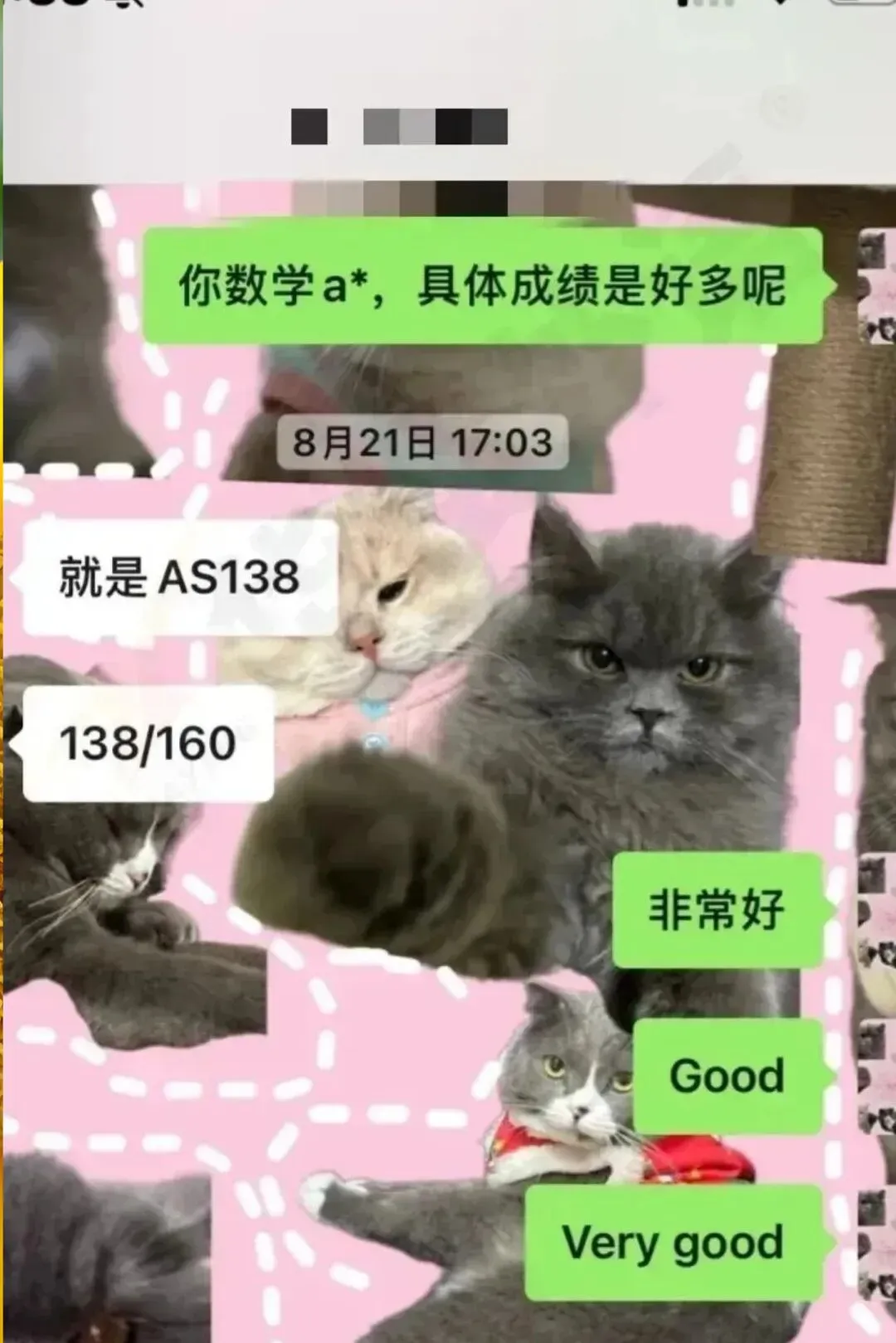 成都中考临近,想“润”到国际高中,为什么要选IGCSE?内含IGCSE课程选课规划 第7张