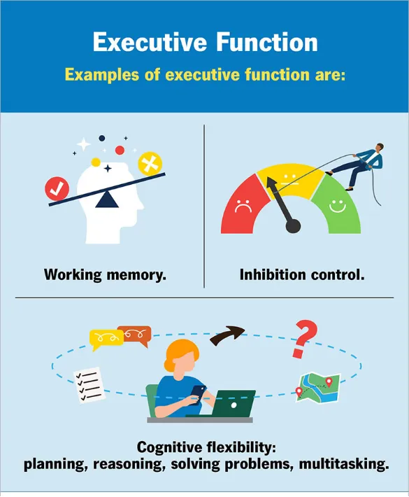高考真题中的心理学——什么叫“执行功能”? 第12张
