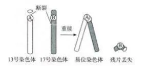 【真题分享】2024年上半年哈尔滨市道里区教师招聘真题 第4张