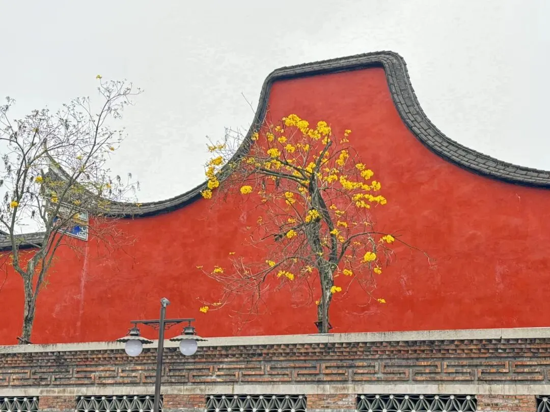 中考体育的“最后一战” 第1张