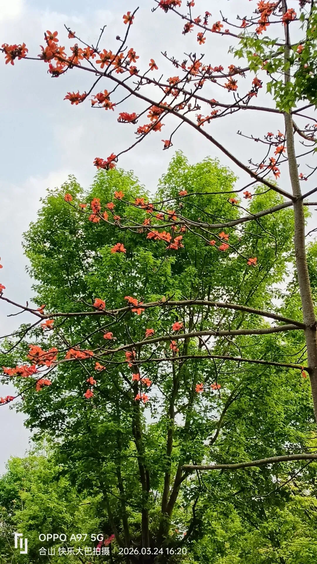 2026年广西中考英语模拟试题 第1张