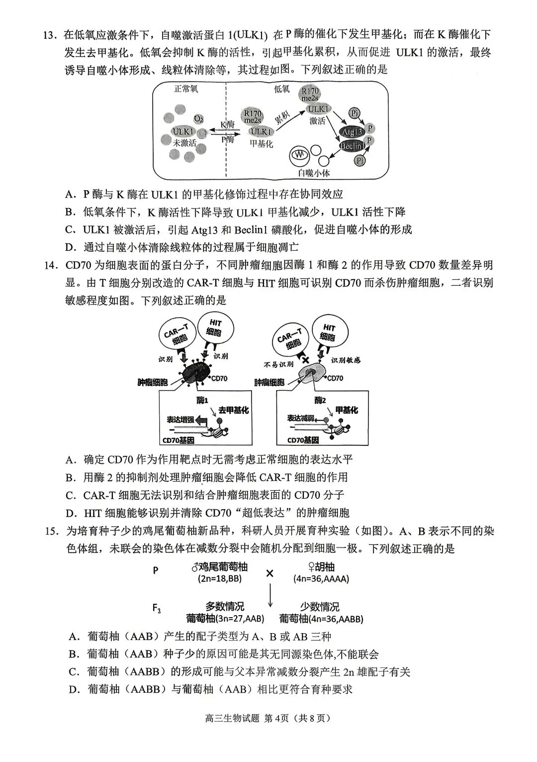 【试题中心】泉州市2026届高三模拟考试(二)生物试题+评分细则 第4张