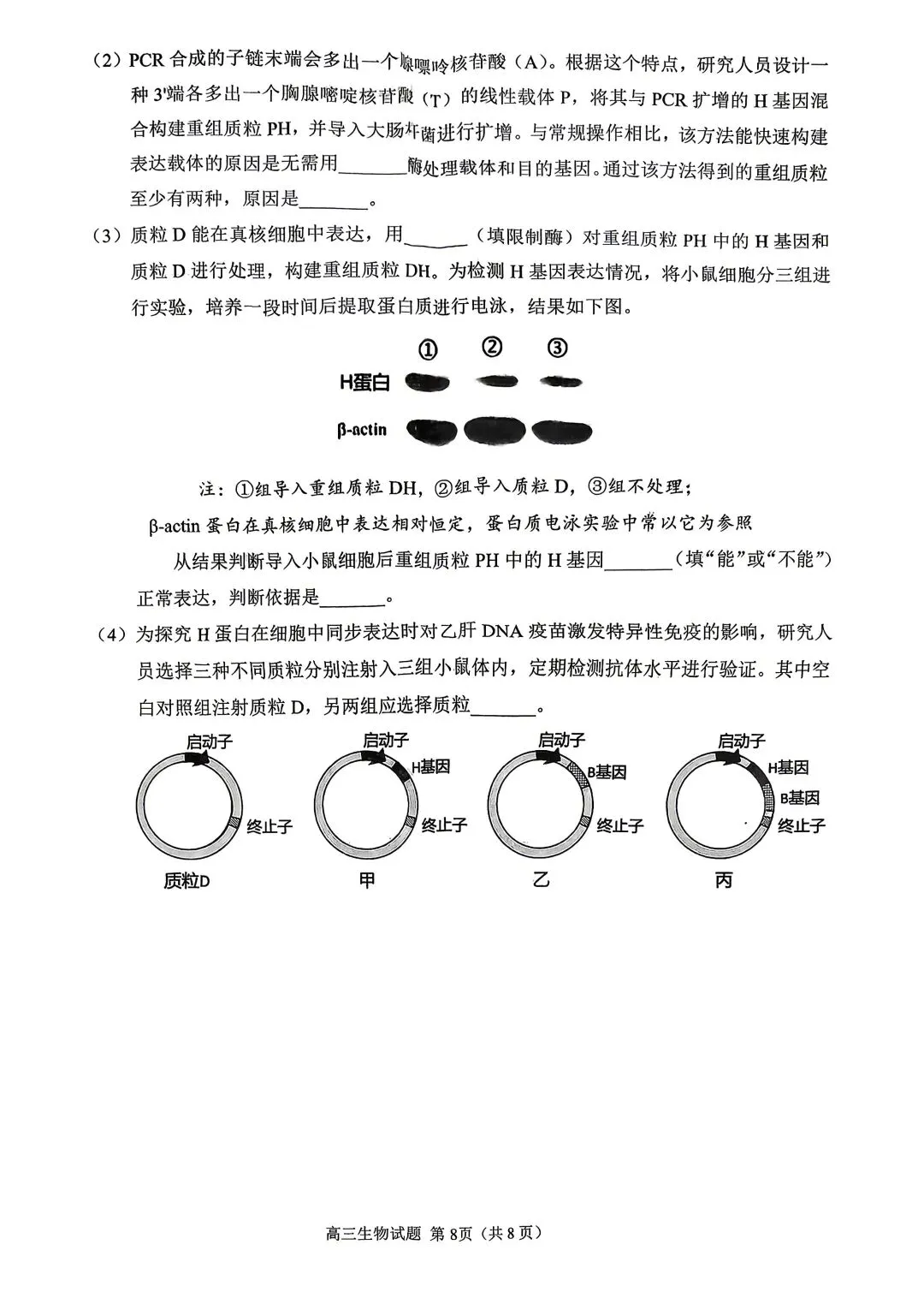 【试题中心】泉州市2026届高三模拟考试(二)生物试题+评分细则 第8张