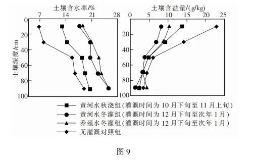 湛江市2026年普通高考测试地理试卷(二) 第9张