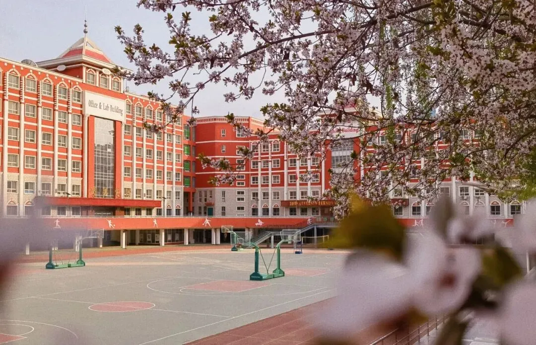 兰州市外国语高级中学2026年中考招生咨询安排 第10张 兰州市外国语高级中学2026年中考招生咨询安排 第10张