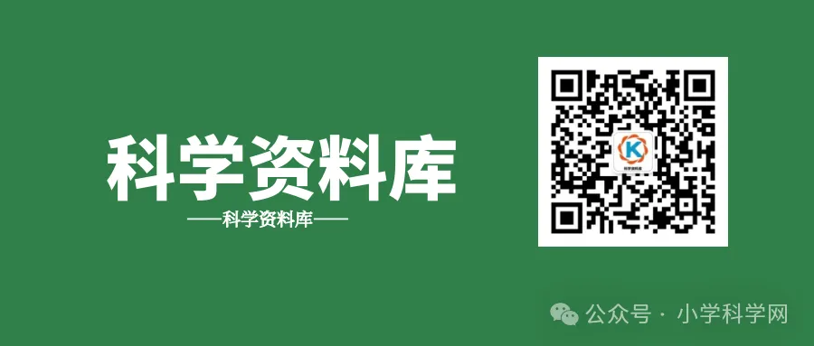 2026年教科版小学科学五年级下册单元试卷 期中期末测试卷 共7套56个(word版) 第6张 2026年教科版小学科学五年级下册单元试卷 期中期末测试卷 共7套56个(word版) 第6张