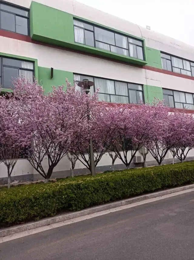 26真题:,业务骨干小张要参加注会考试,延误工作,领导批评了他.小张注会也没有考上,他想辞职.你作为负责人,如何与他沟通以挽留他? 第1张