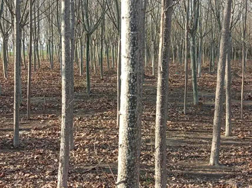 26真题:,业务骨干小张要参加注会考试,延误工作,领导批评了他.小张注会也没有考上,他想辞职.你作为负责人,如何与他沟通以挽留他? 第2张