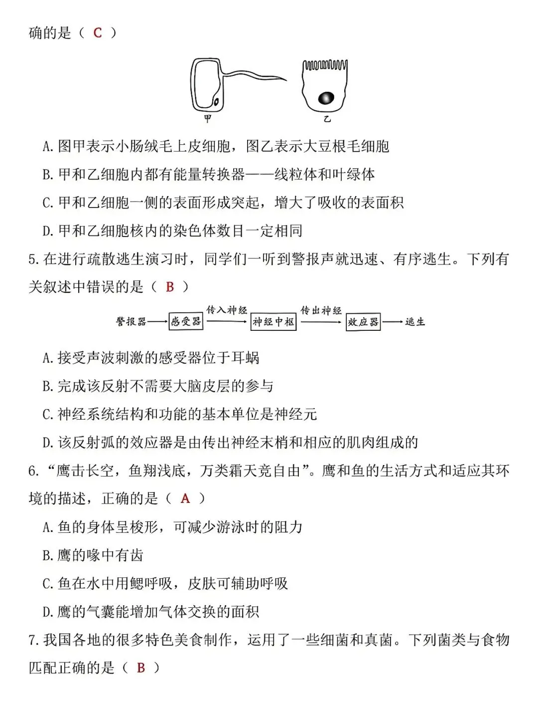 八年级下册生物:6月会考真题卷,孩子查漏补缺的好帮手,抓紧收藏! 第3张