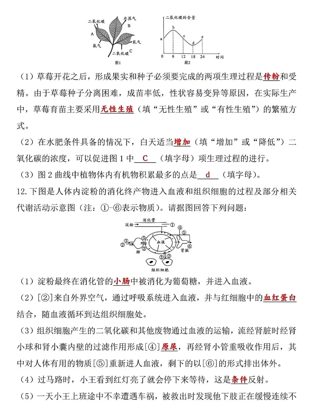 八年级下册生物:6月会考真题卷,孩子查漏补缺的好帮手,抓紧收藏! 第5张