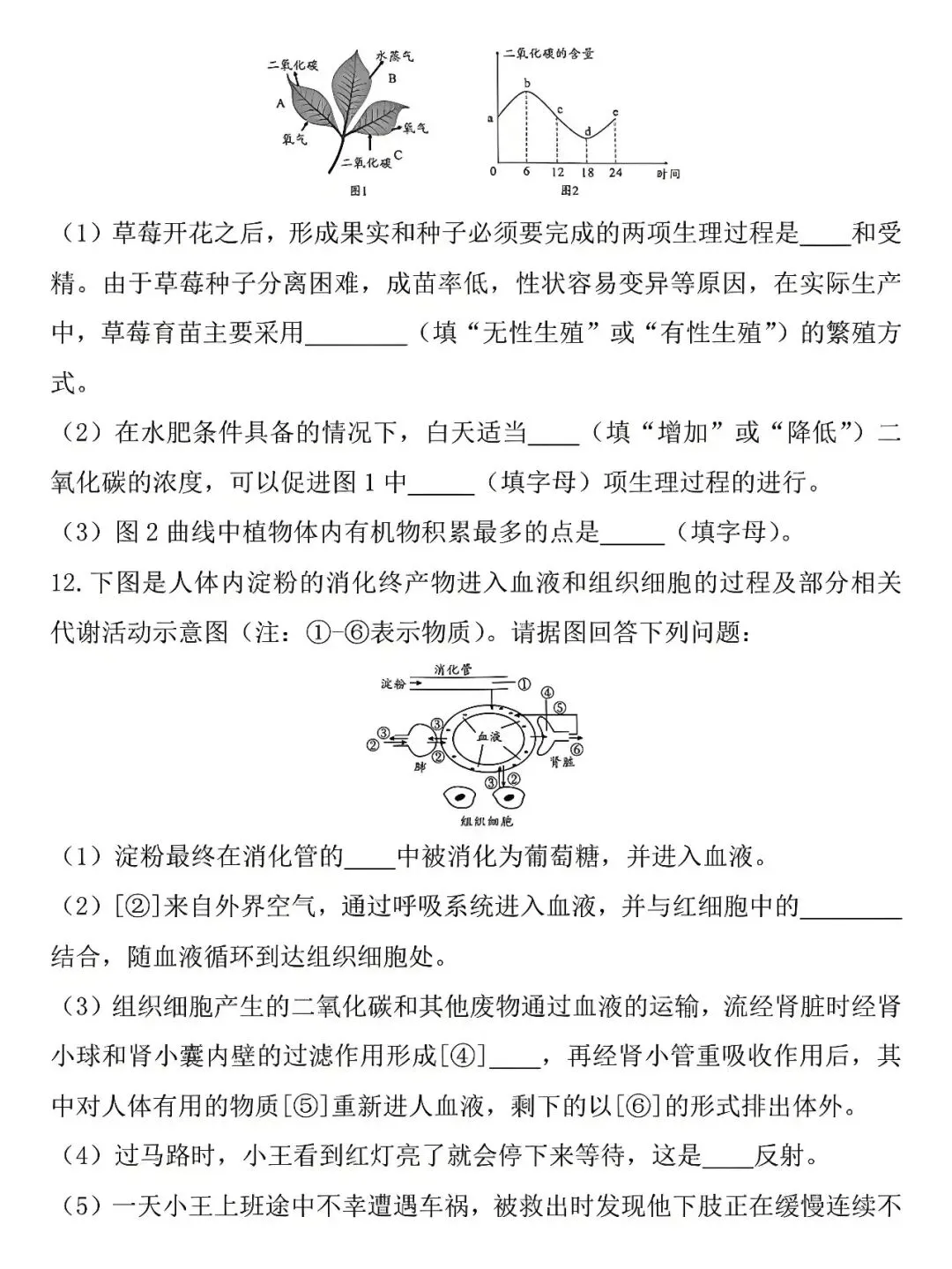 八年级下册生物:6月会考真题卷,孩子查漏补缺的好帮手,抓紧收藏! 第10张